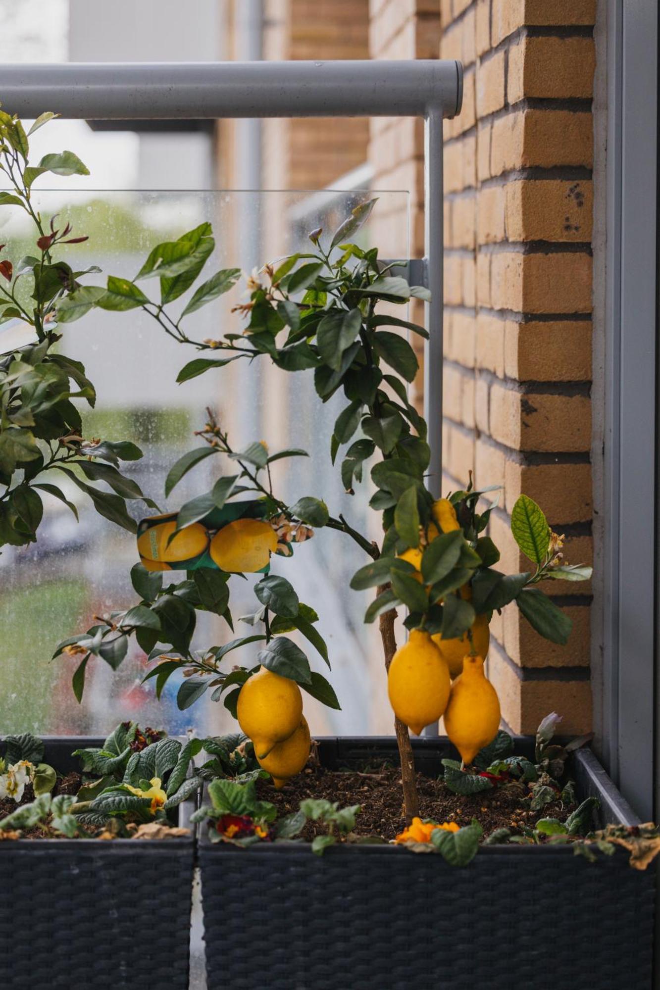 Brixton Village Flat- Private En-Suite Double Bedroom لندن المظهر الخارجي الصورة
